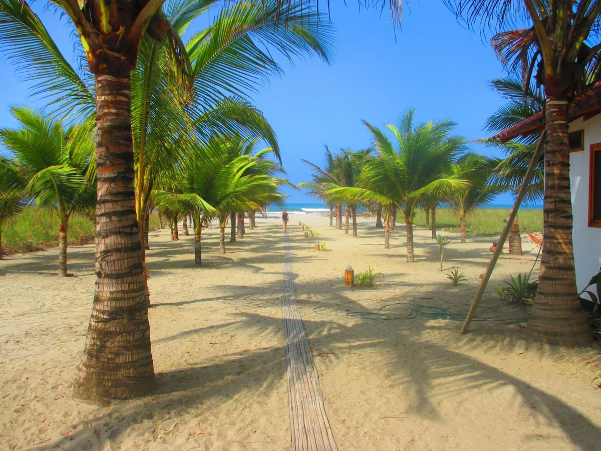 Beach Front Bungalows At The Coconut Canoa Dış mekan fotoğraf